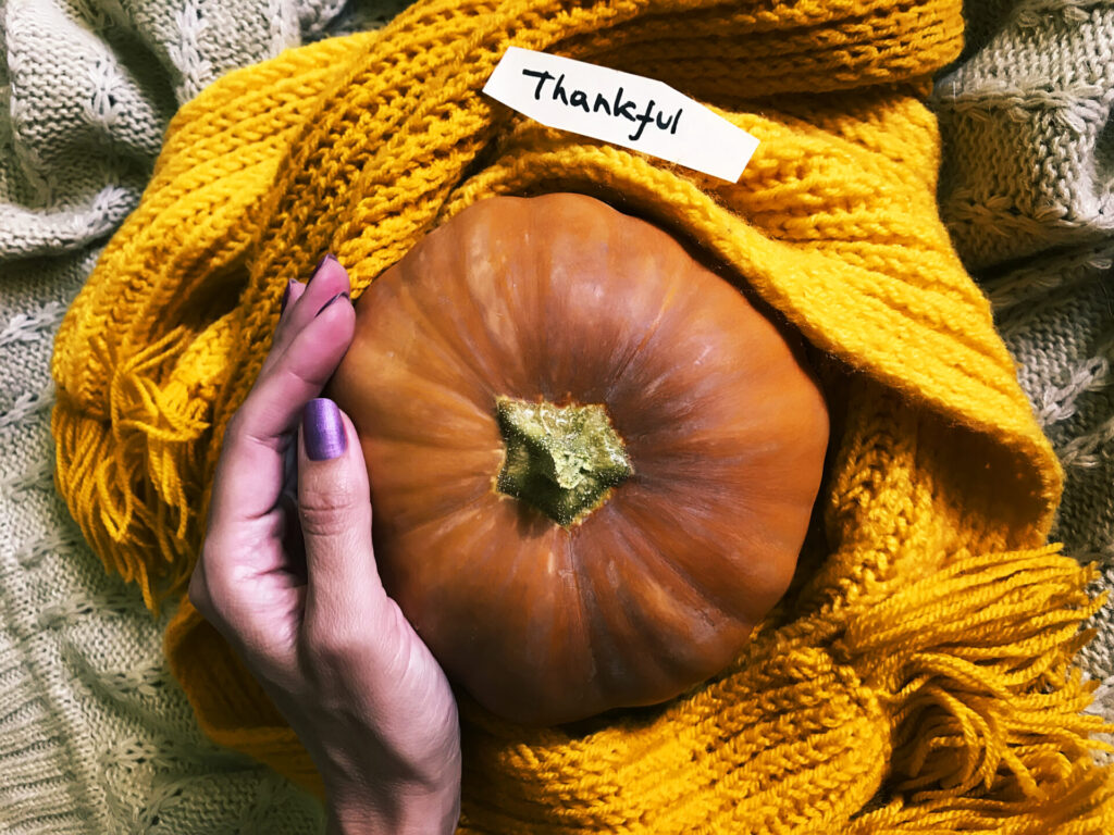 Ripe Orange Pumpkins Wrapped with Knitted Scarf